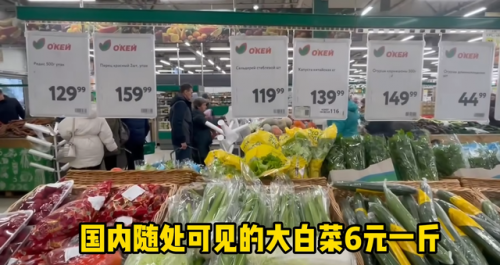 俄罗斯现在怎么样-(2024俄罗斯大选时间表最新)插图23