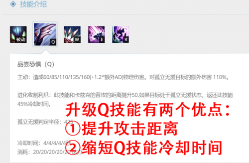 虚空掠夺者加点顺序(虚空掠夺者是第几个英雄)插图2