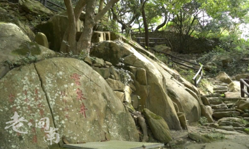 晋江茶叶厂家排名前十(福建知名茶叶企业有哪些)插图13