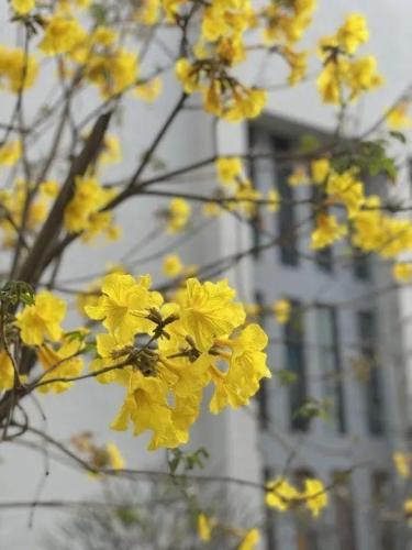 东莞高校校花排名前十(东莞最好的大学是哪一所)插图31