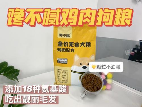 狗漂亮排行榜(十大最漂亮的狗排名)插图20