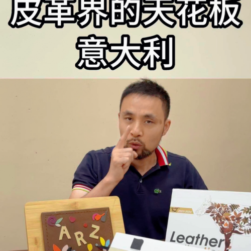 新鲜牛皮产地排名前十(摔纹牛皮和头层牛皮哪个好)插图