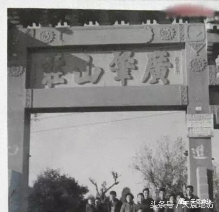 上海普陀区墓园排名前十(上海最大的公墓排名前十)插图14