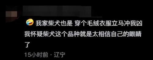 明星宠物面膜排名前十(全部明星的宠物的名字)插图14