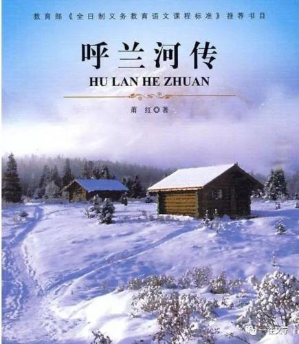 近代小说排行榜(中国现代文学名著100部)插图8