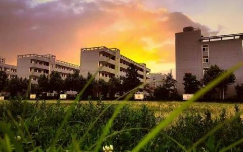 丰县小学排行榜(丰县最好的小学排名)