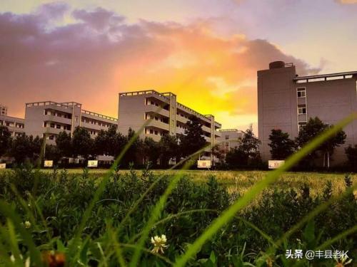 丰县小学排行榜(丰县最好的小学排名)插图