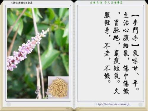 本草纲目中药大全(12000种中草药大全)插图27