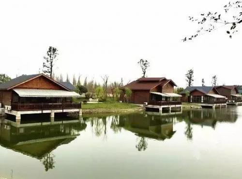 乐山婚庆酒楼排名前十(乐山上档次的中餐酒楼)插图5
