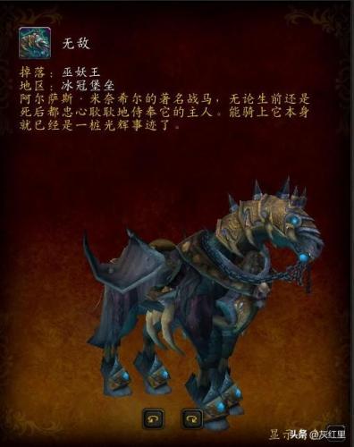 魔兽世界亡灵战马(创造与魔法亡灵战马怎么得)插图