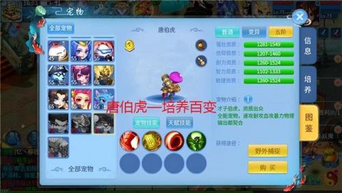 天书奇谈一转术士加点(天书奇谈平民职业攻略)插图3
