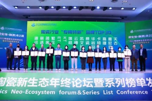 世界国家陶瓷排名前十(全球瓷砖十大名牌排行榜)插图41