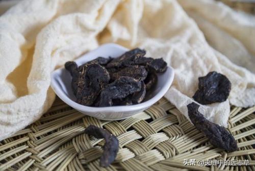 桑寄生的功效与作用及食用方法(钩藤的功效与作用)插图9