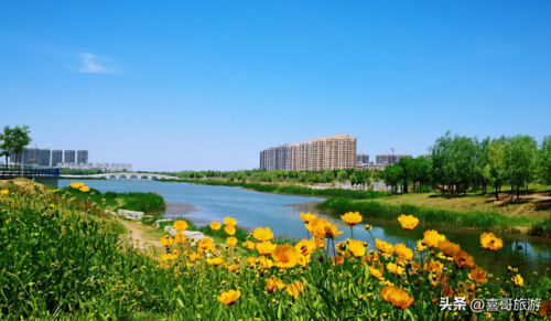 定陶景点排行榜(定陶一日游必去景点)插图