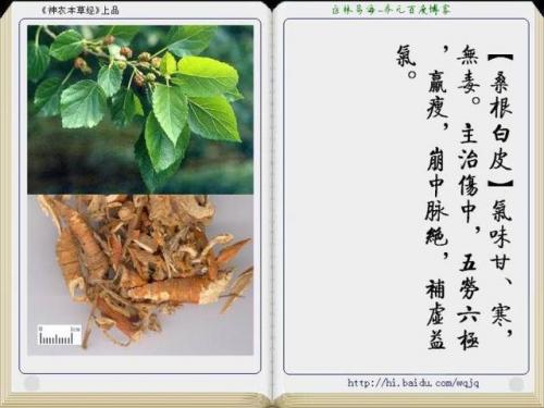本草纲目中药大全(12000种中草药大全)插图8