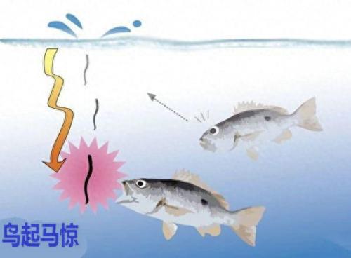 中国十大路亚竿排行榜(国产路亚竿推荐)插图11