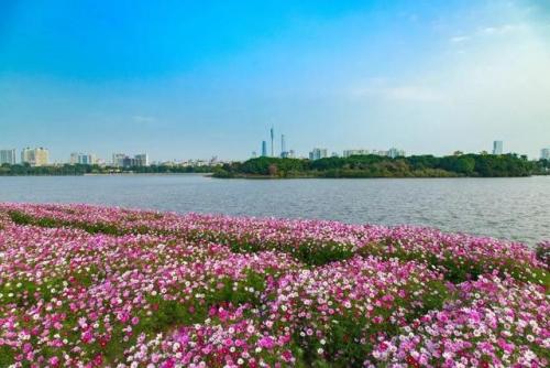 广州公园排行榜(广州的旅游景点推荐)插图10