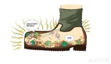 去脚气药膏排行榜(治脚气药膏排名第一名)插图1