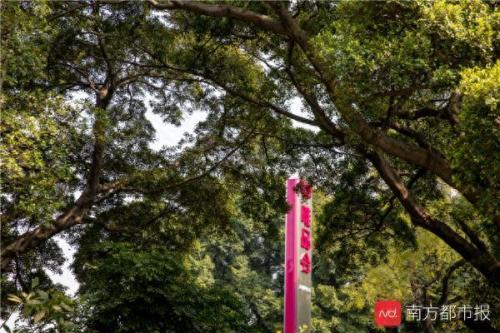 唯品会职业气质排名前十(唯品会企业排行榜)插图4