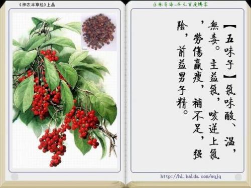 本草纲目中药大全(12000种中草药大全)插图3