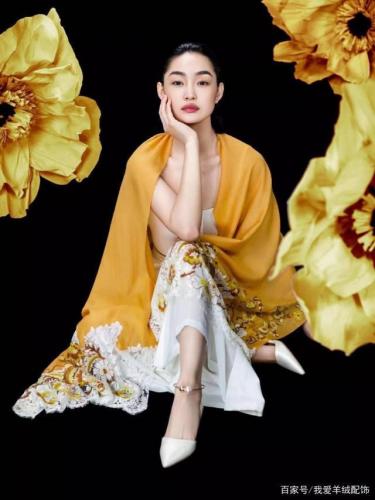 国内丝巾品牌排行榜(女士十大奢侈品丝巾排行榜)插图4