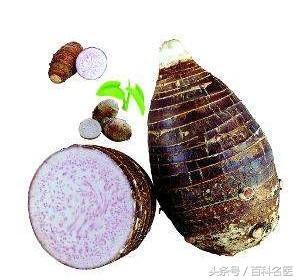 滋阴食物排行榜(滋阴又不寒凉的食物)插图2