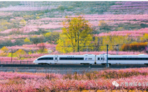 山东旅游排行榜(山东景点排名一览表)