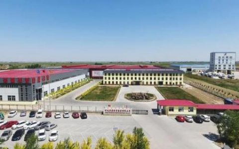 篮球架排行榜(什么牌子的篮球架最好)