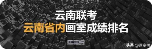云南优秀画室排名前十(画室排名)插图3