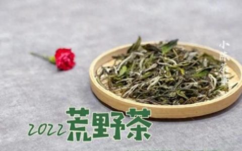 福鼎地下室防水排名前十(乳山地下室防水哪家好)