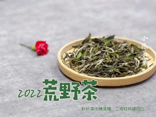 福鼎地下室防水排名前十(乳山地下室防水哪家好)插图