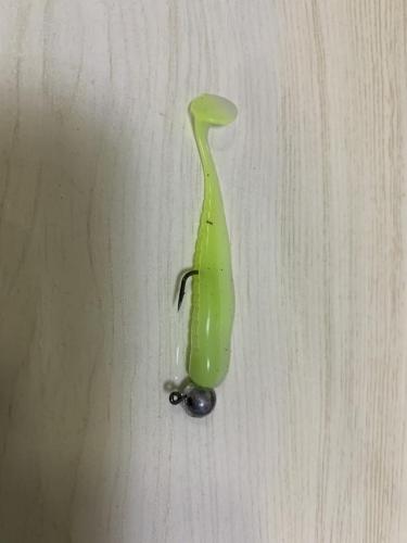路亚鳜鱼(春季路亚鳜鱼最佳时间)插图4