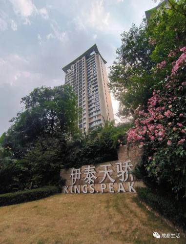 成都简约豪宅排名前十(成都最贵豪宅)插图21