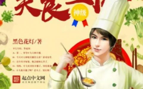 厨师系统类小说排行榜(十大经典厨师穿越小说)