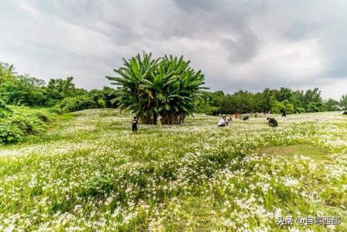 成都湿地景区排名前十(成都最美的湿地公园)插图1
