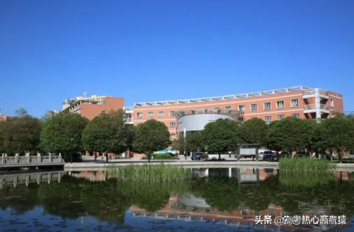 新疆专科体校排名前十(乌鲁木齐体育学院报名)插图2