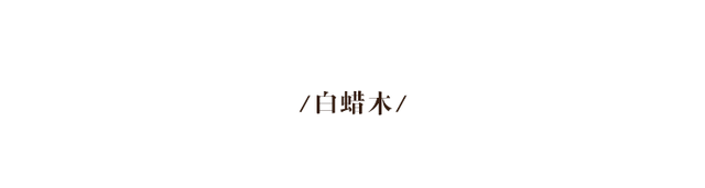 木制品有哪些(木头做的东西都有哪些)插图10