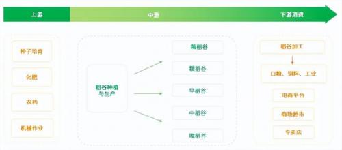 台湾糯米产量排名前十(台湾农作物)插图20