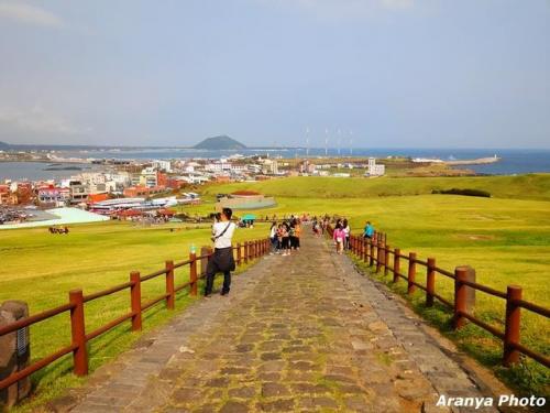 济州岛旅游攻略(济州岛必去的十大景点)插图29