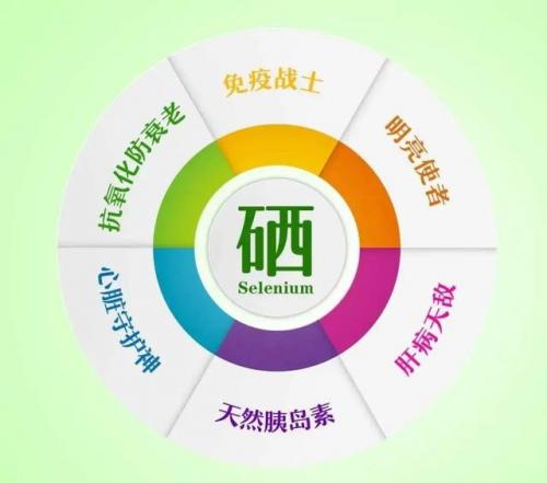 富硒食品排行榜(哪些食物含硒量高)插图1