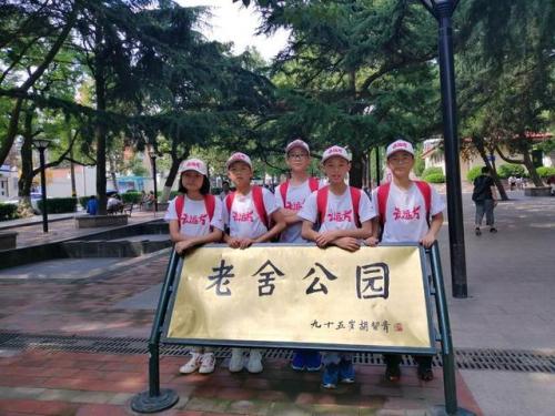 红顶剑龙(神奇宝贝最强50官方排名)插图20