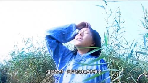换心电视剧(没有家园的灵魂演员表)插图4