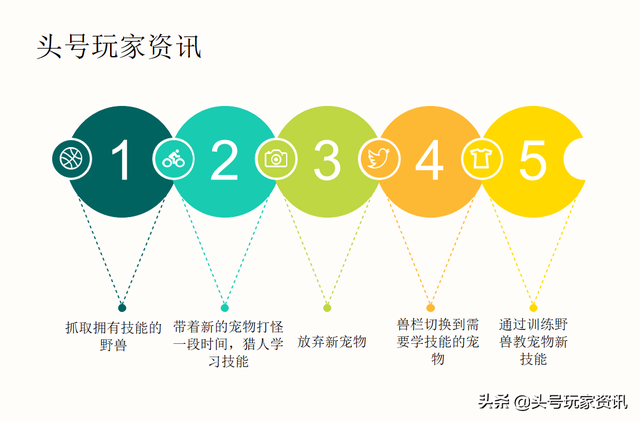 猎人宝宝训练点数(猎人宝宝技能加点详解)插图6