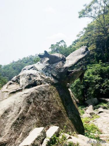 东莞马山仙境(马山仙境2019年要门票吗)插图18