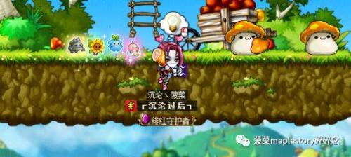 冒险岛恶魔猎手内在洗什么(冒险岛恶魔猎手后期好弱)插图14