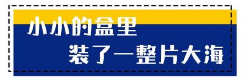 襄阳市海鲜排名前十(襄阳买海鲜去哪里)插图2