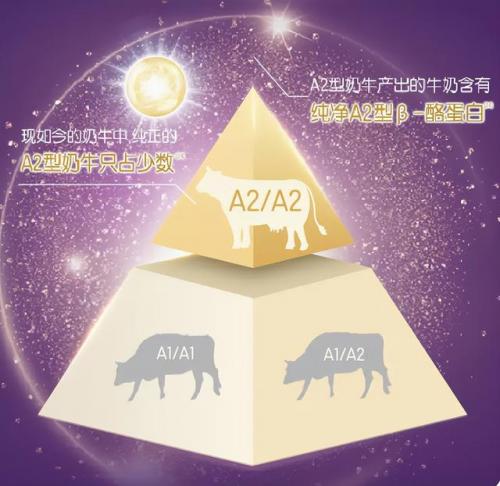 腹泻奶粉排行榜前十位(宝宝腹泻专用奶粉)插图1