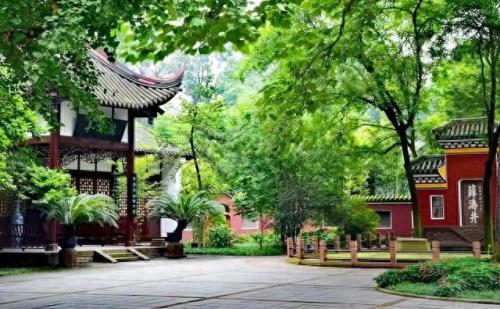 成都十大必去的地方排行榜(成都十大网红室内游乐设备)插图21