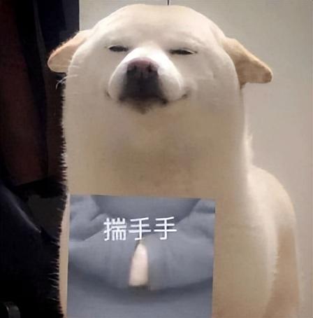 手机清理十大排行榜(用什么清理器清理手机最好用)插图4