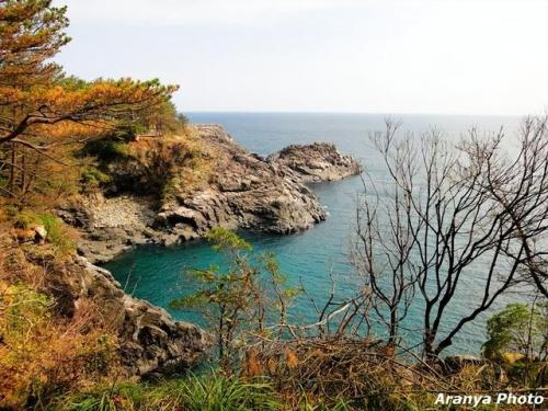 济州岛旅游攻略(济州岛必去的十大景点)插图15